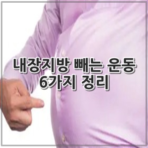 내장지방 빼는 운동 6가지 정리