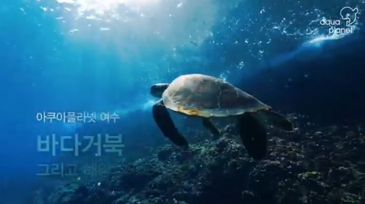 여수 가볼만한 곳 베스트10, 핫플