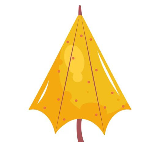 노란우산공제-5