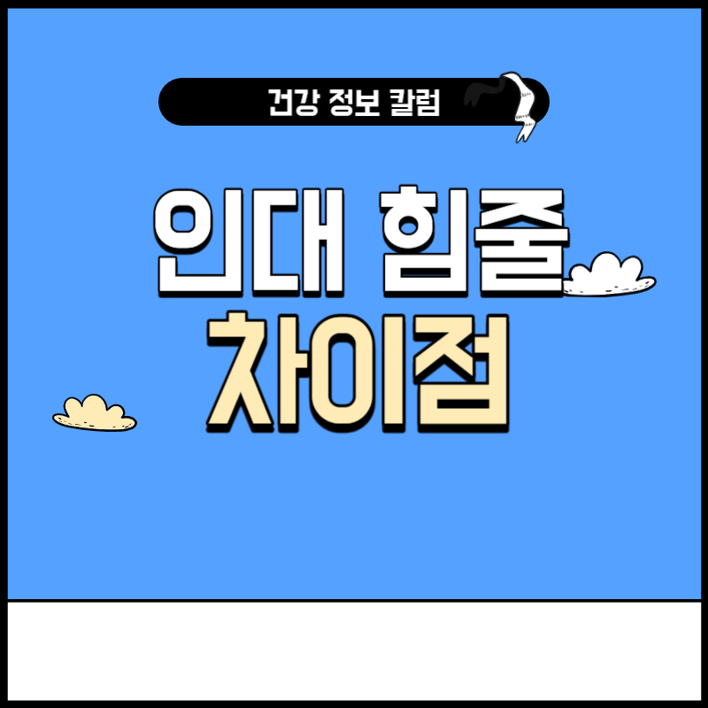 인대 힘줄 차이