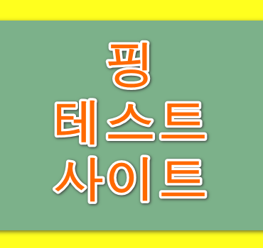 핑-테스트-사이트-안내