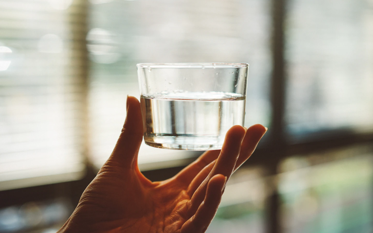 물 마시기 신진대사