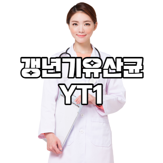 갱년기유산균YT1
