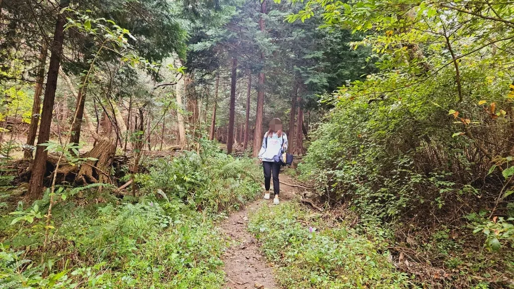 엄광산 맨발숲길에서 하산하면서