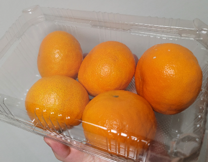 설국향 한팩