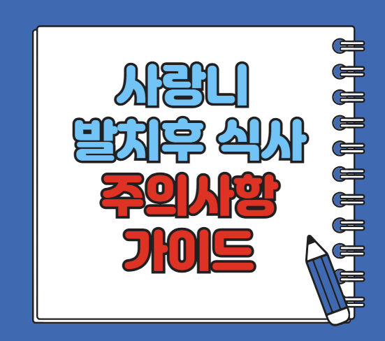 사랑니 발치후 식사 주의사항 가이드