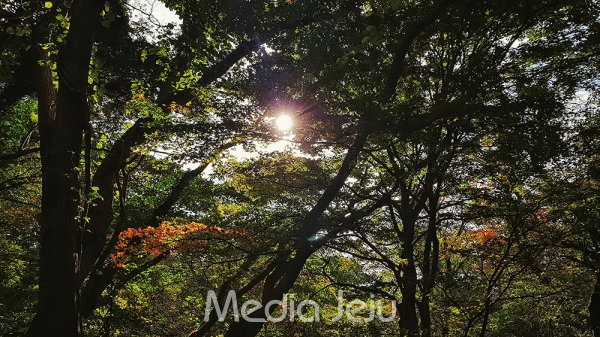 자연 치유 관점에서 바라본 여성 호르몬 균형 맞추기