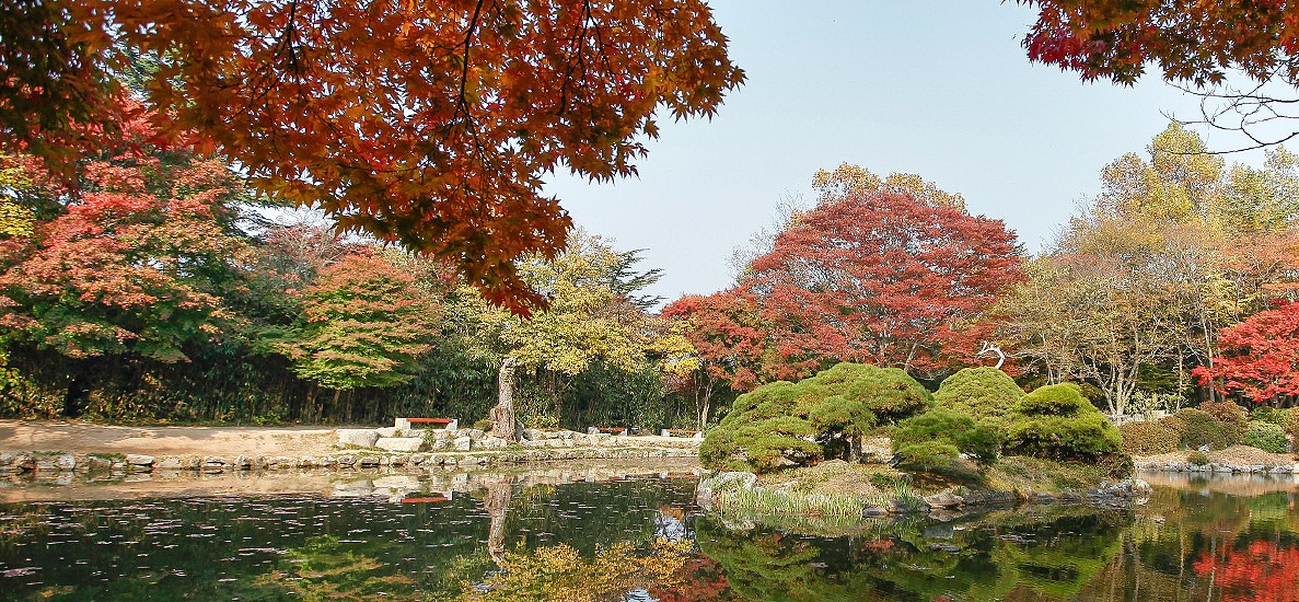 경주 가을 여행 단풍 나들이 가볼만한곳 BEST 05 도리마을 은행나무, 첨성대 핑크뮬리 군락지