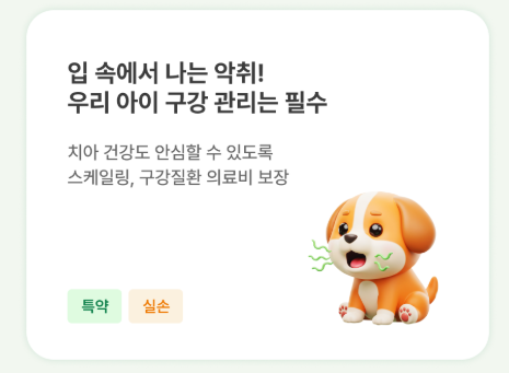 펫블리-사진5