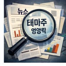 광통신 관련주 급등락 이유 총정리