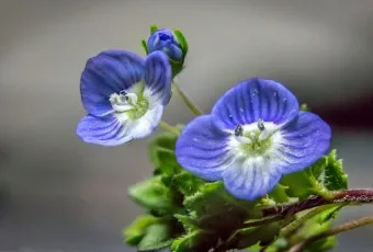 명심보감 - 작은 선과 악이 운명을 바꾸는 명심보감 교훈_12