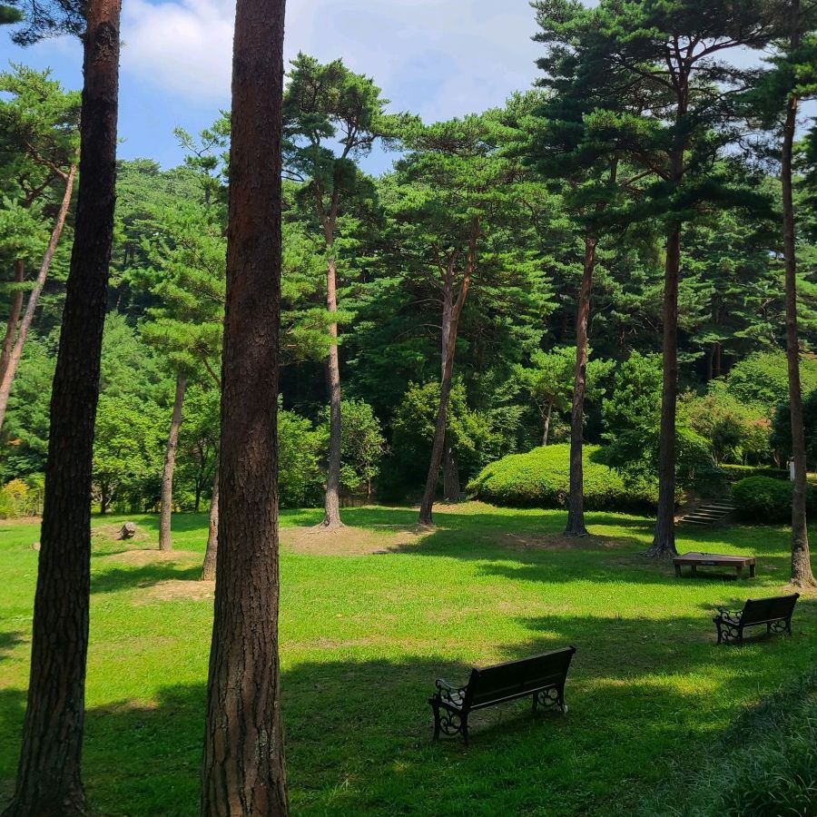 안면도자연휴양림