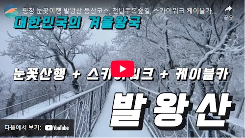 발왕산 케이블카 &amp; 스카이워크