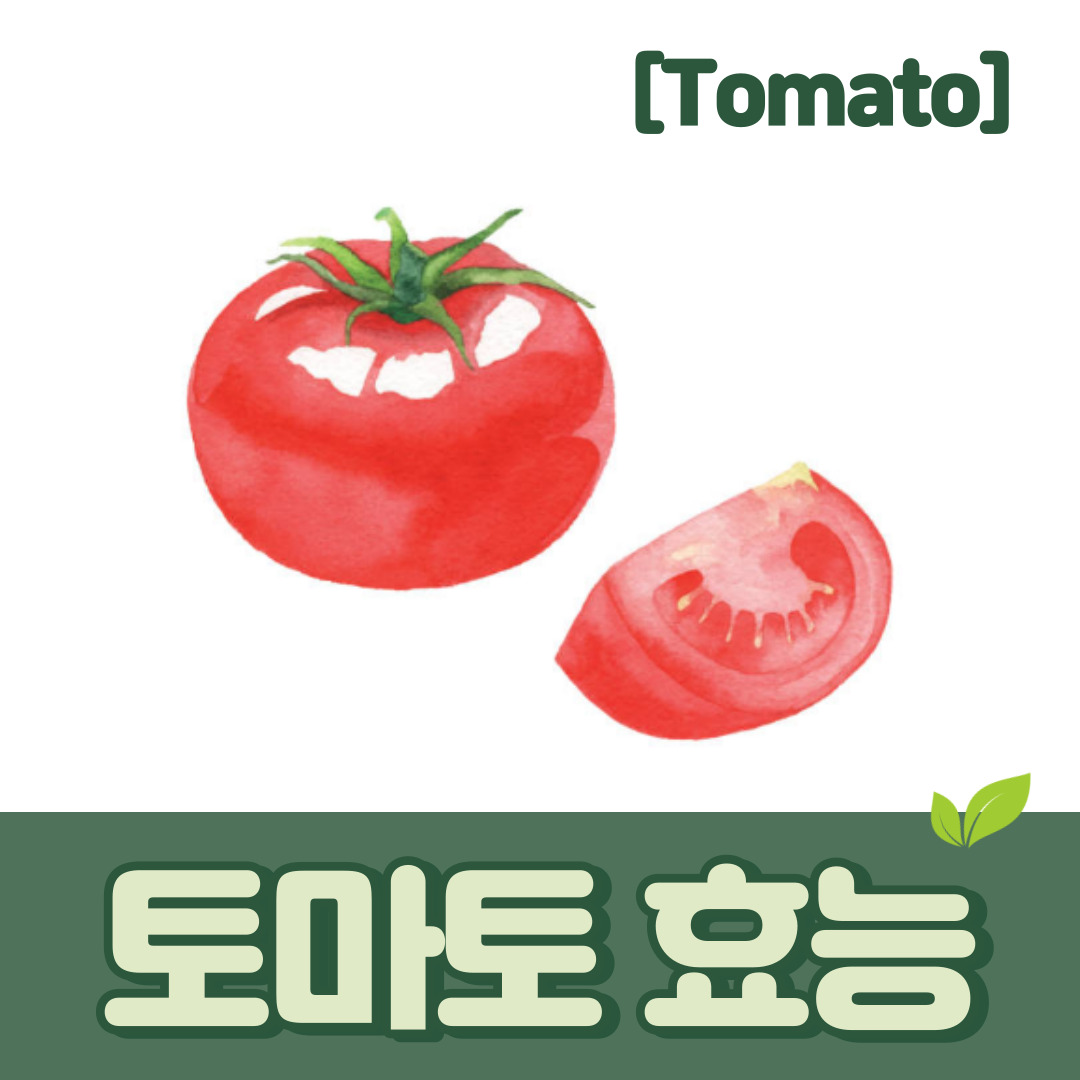 토마토