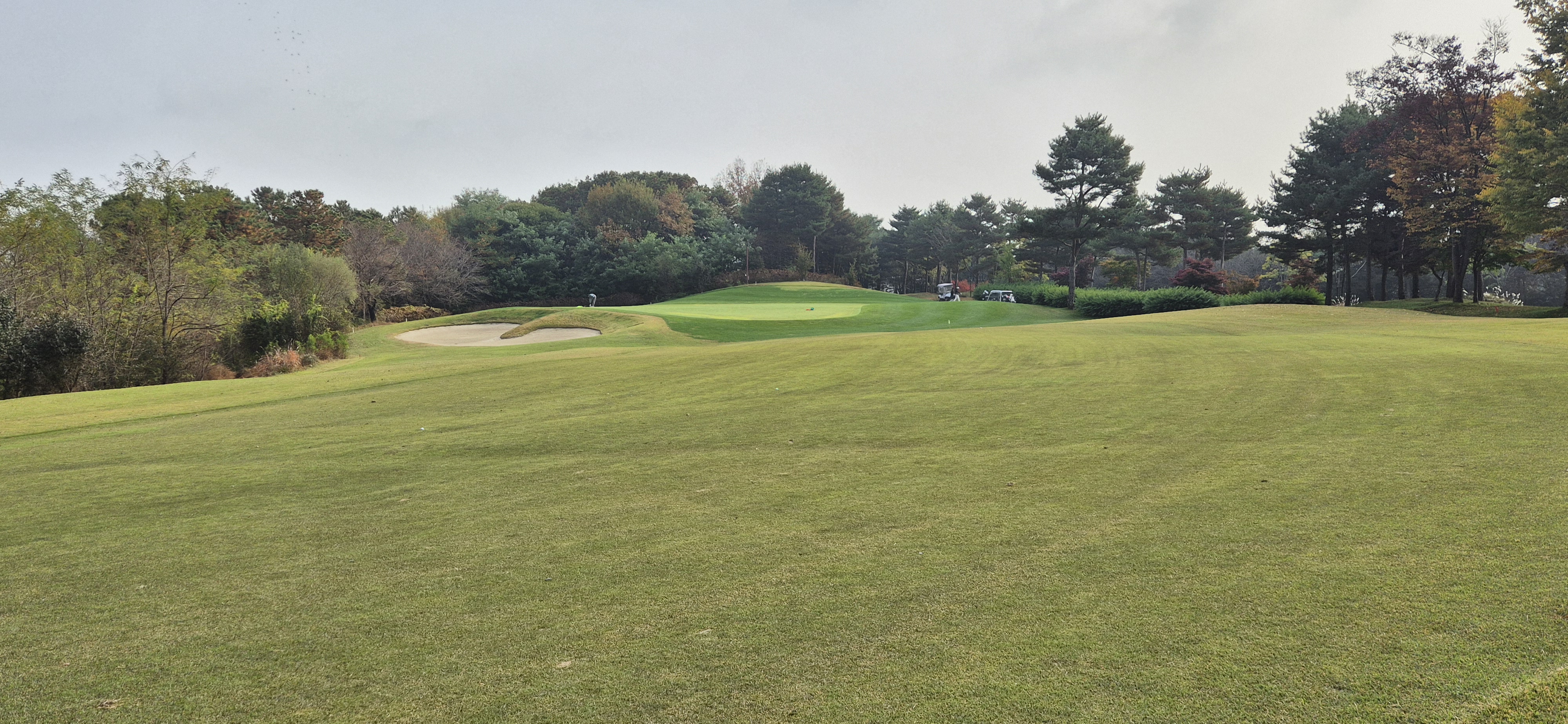 마이다스레이크 이천cc 올림푸스 코스 사진 및 공략 정보