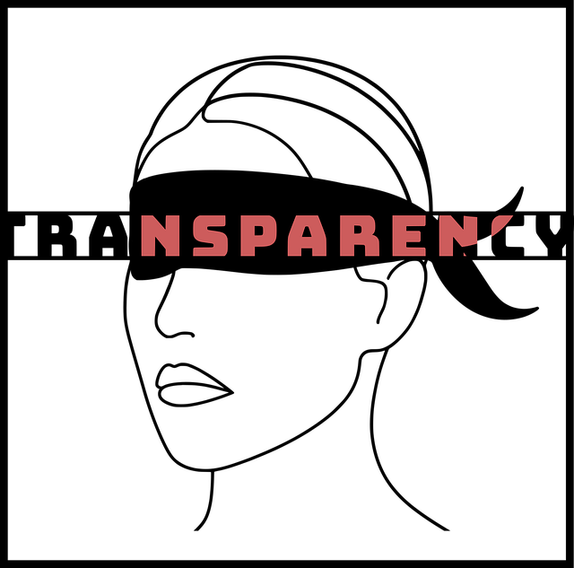 국내 대기업의 지배구조 투명성