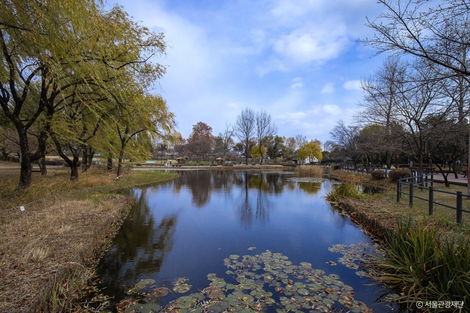2024 가을 여행지 단풍 명소 추천