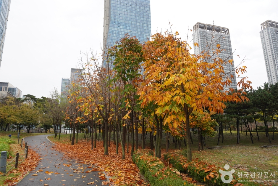송도 센트럴파크5