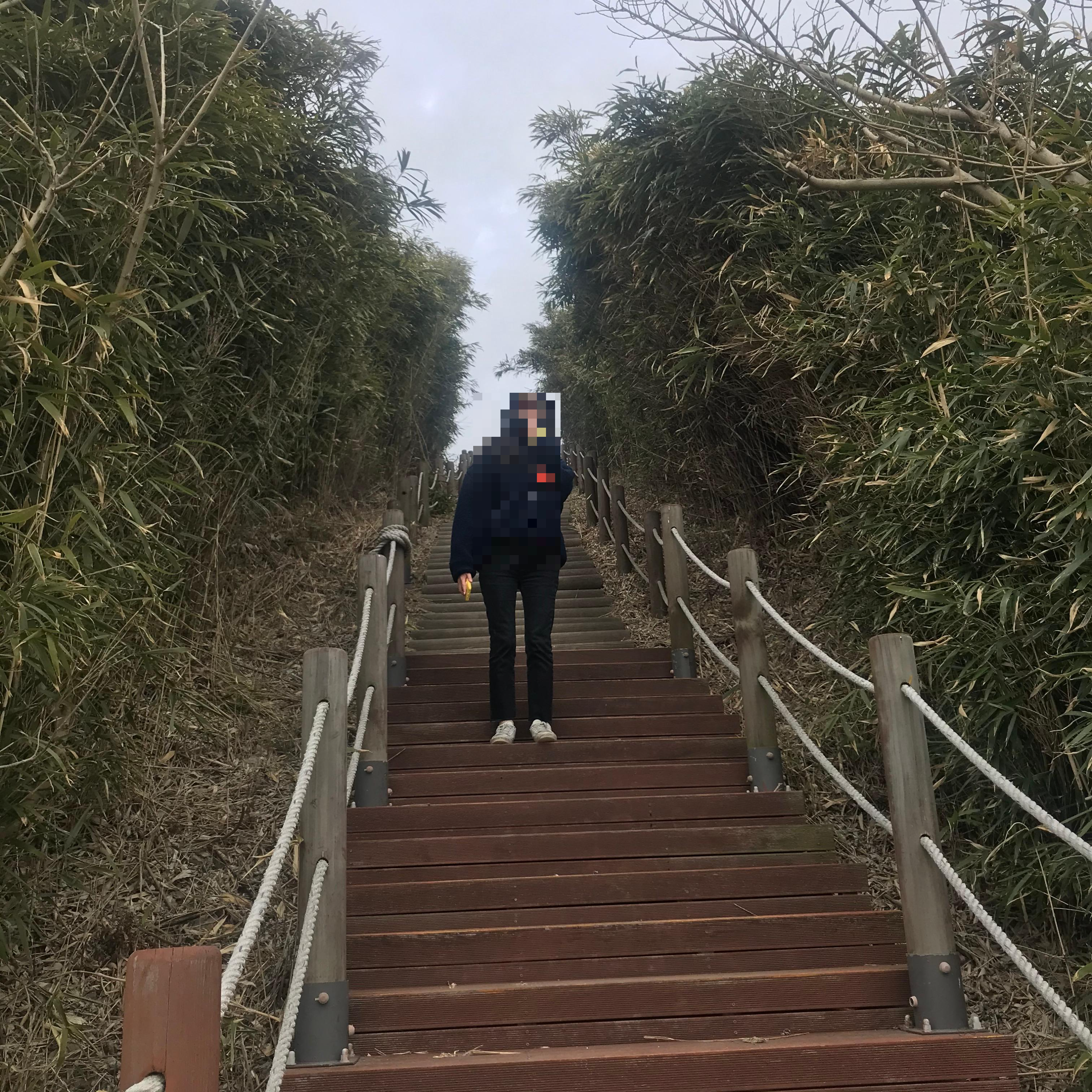 홍성 죽도 여행 배편 숨은 명소 여행 코스 둘레길