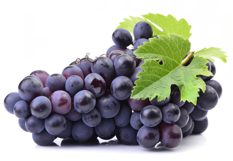포도