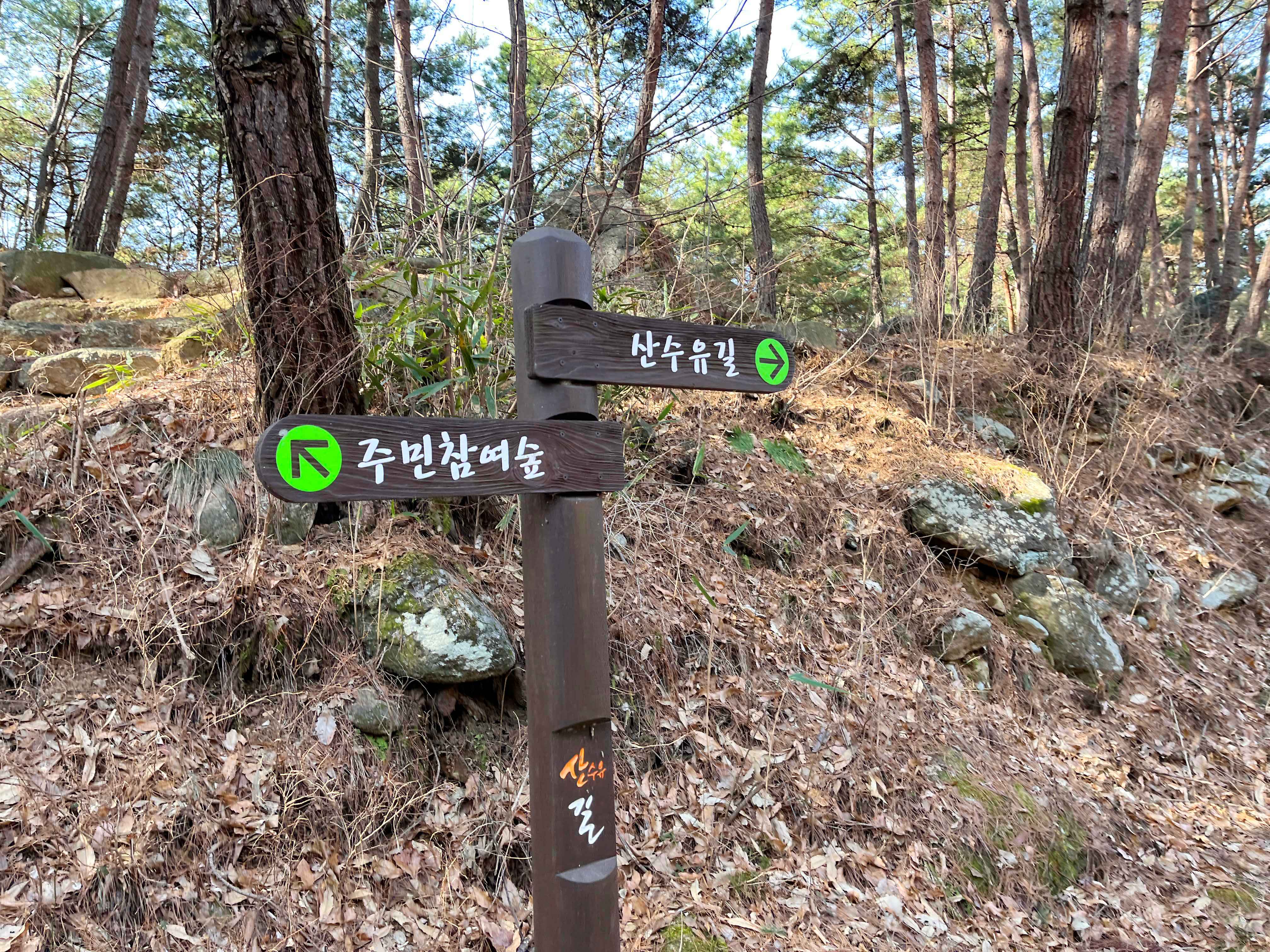 구례 산수유마을