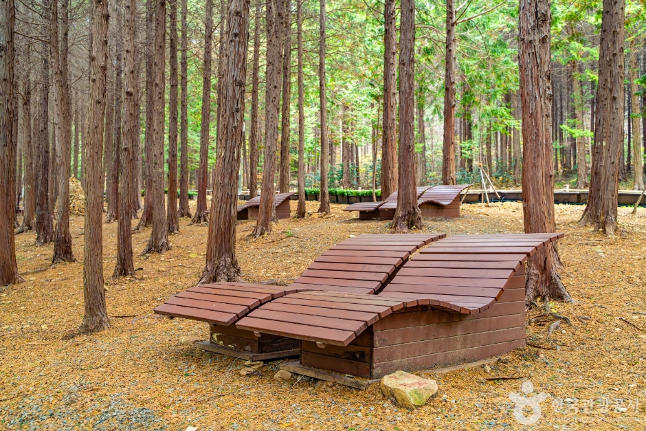 고흥 가볼만한곳 베스트10