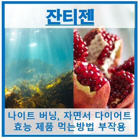 잔티젠 썸네일