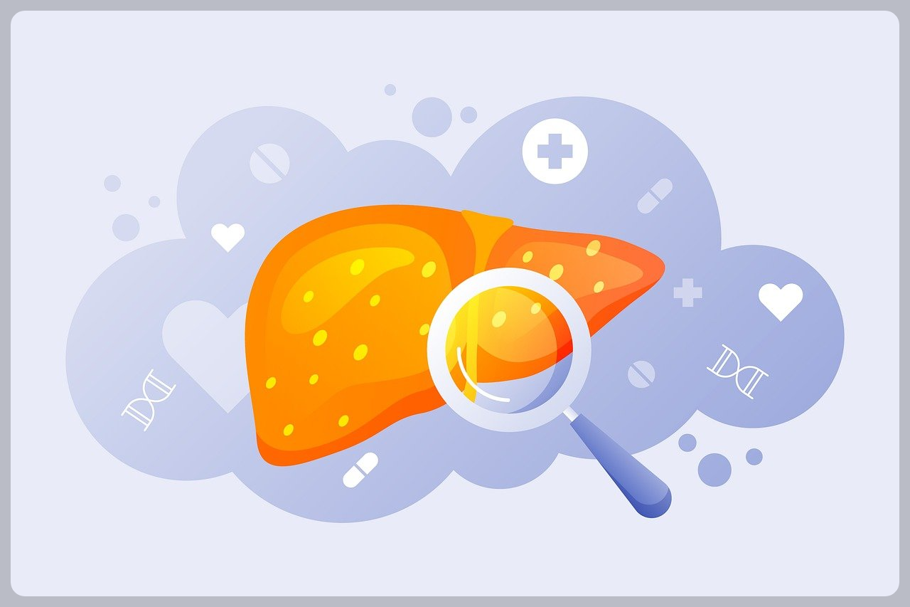 지방간 없애는 방법