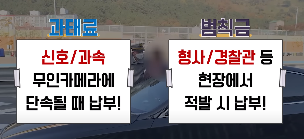 범칙금 / 과태료