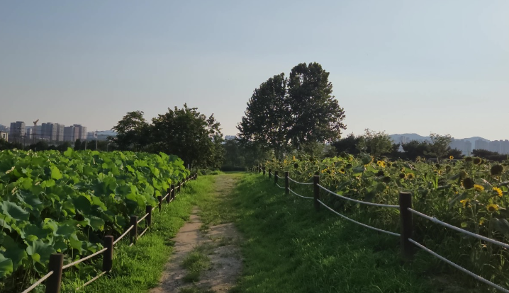 수원탑동시민농장3