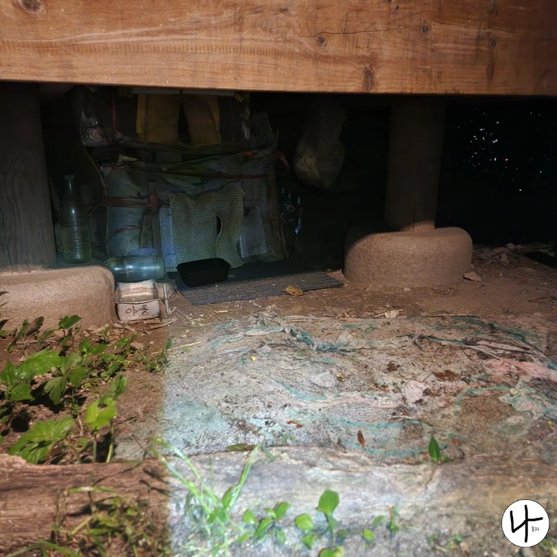 평상-밑-고양이집