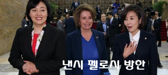 낸시 펠로시 방한