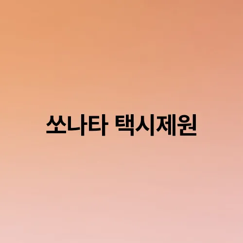 쏘나타 택시제원