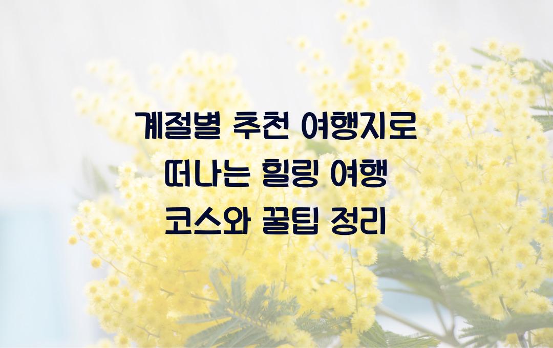 계절별 추천 여행지로 떠나는 힐링 여행