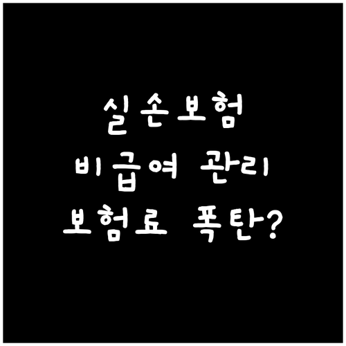 비급여 관리급여 도입 내용과 실손보험..