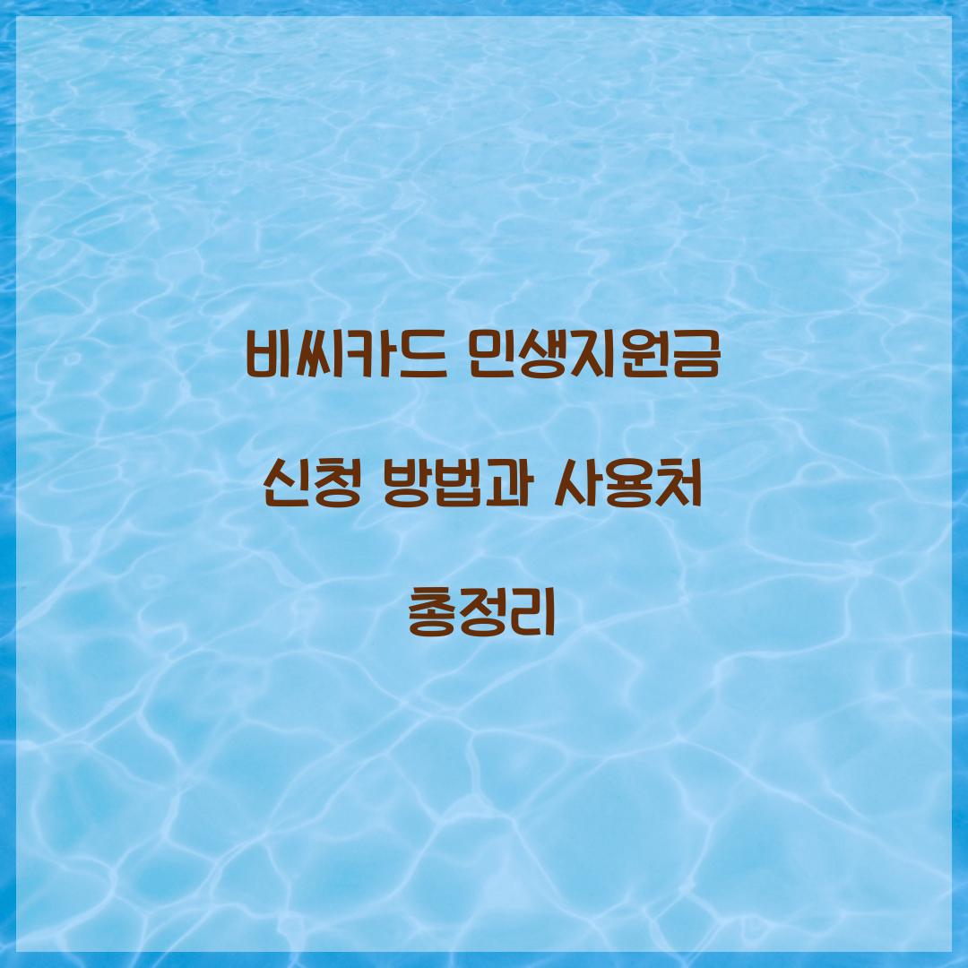 비씨카드 민생지원금