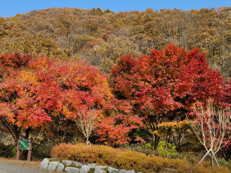 국립회문산자연휴양림