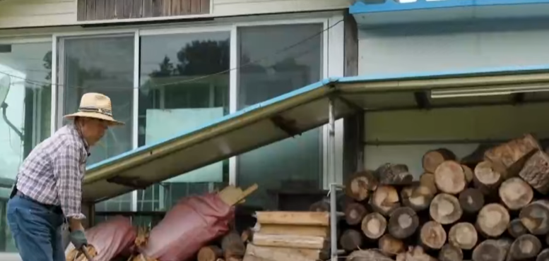 박용호 아나운서 아들