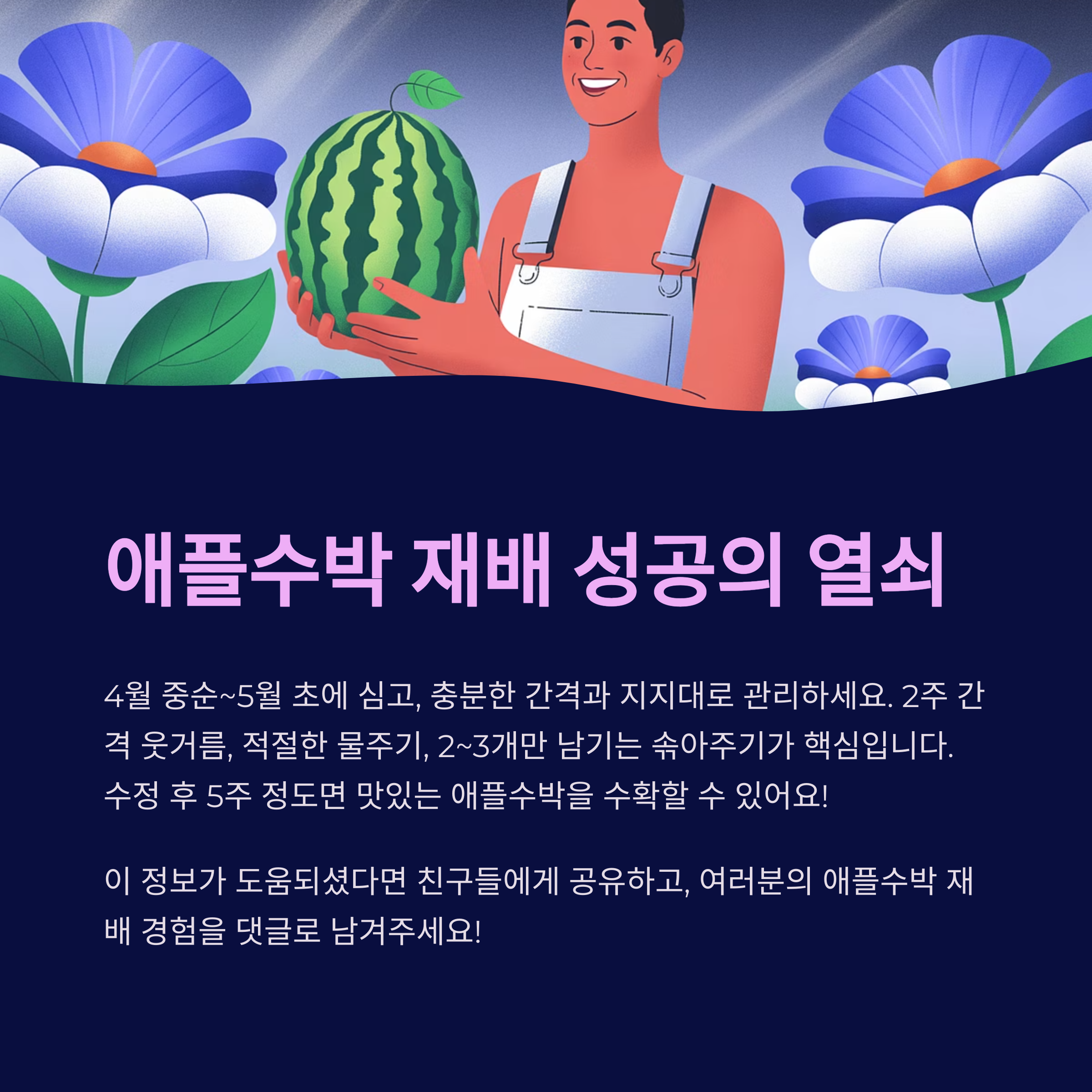 애플수박 재배 요약 팁