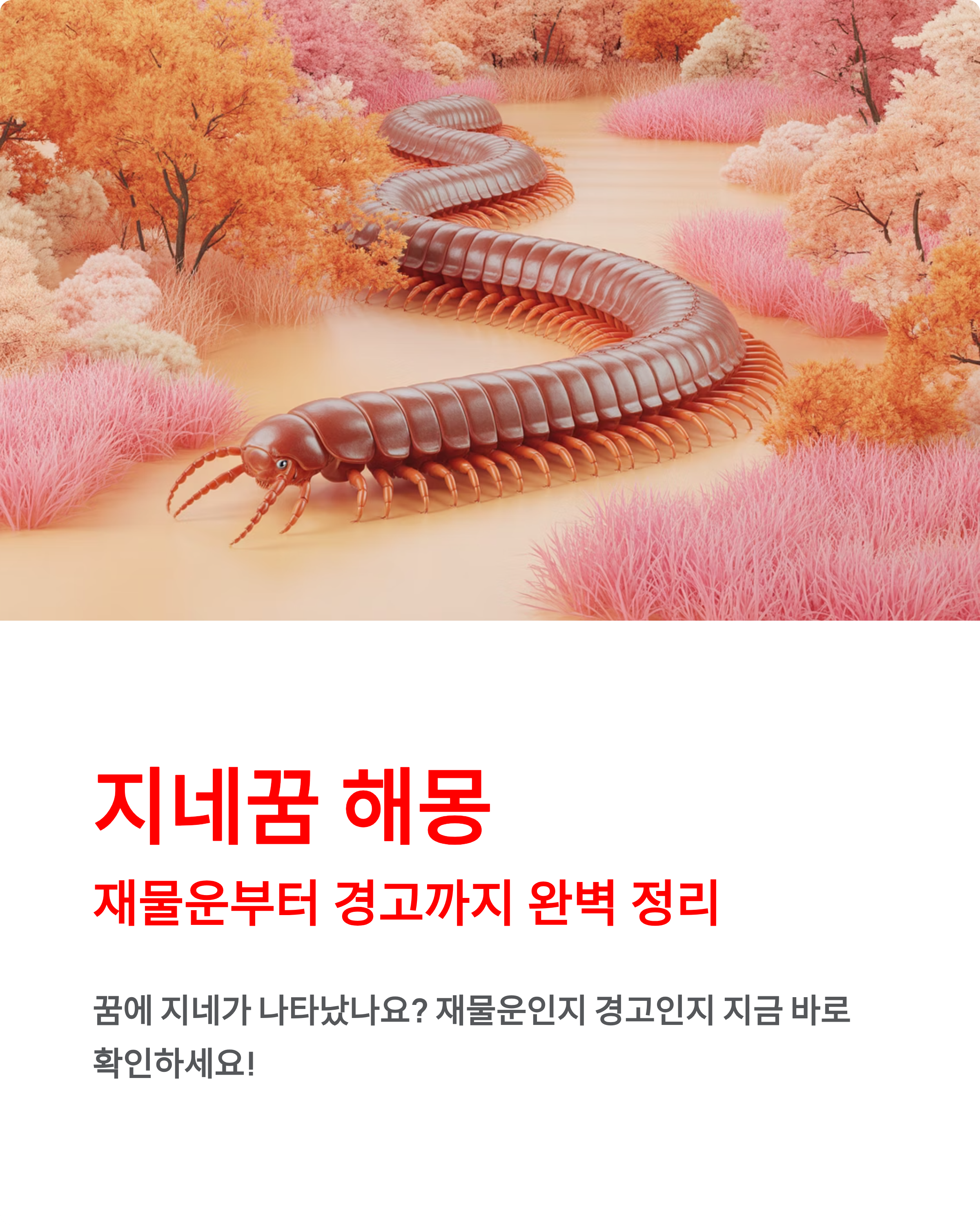 지네꿈 해몽 재물운부터 경고까지 한 번에 정리