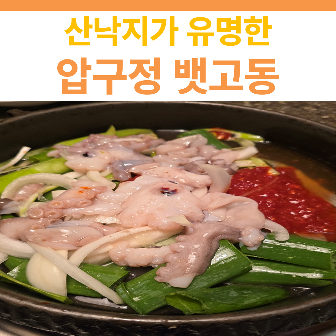 압구정 뱃고동 썸네일