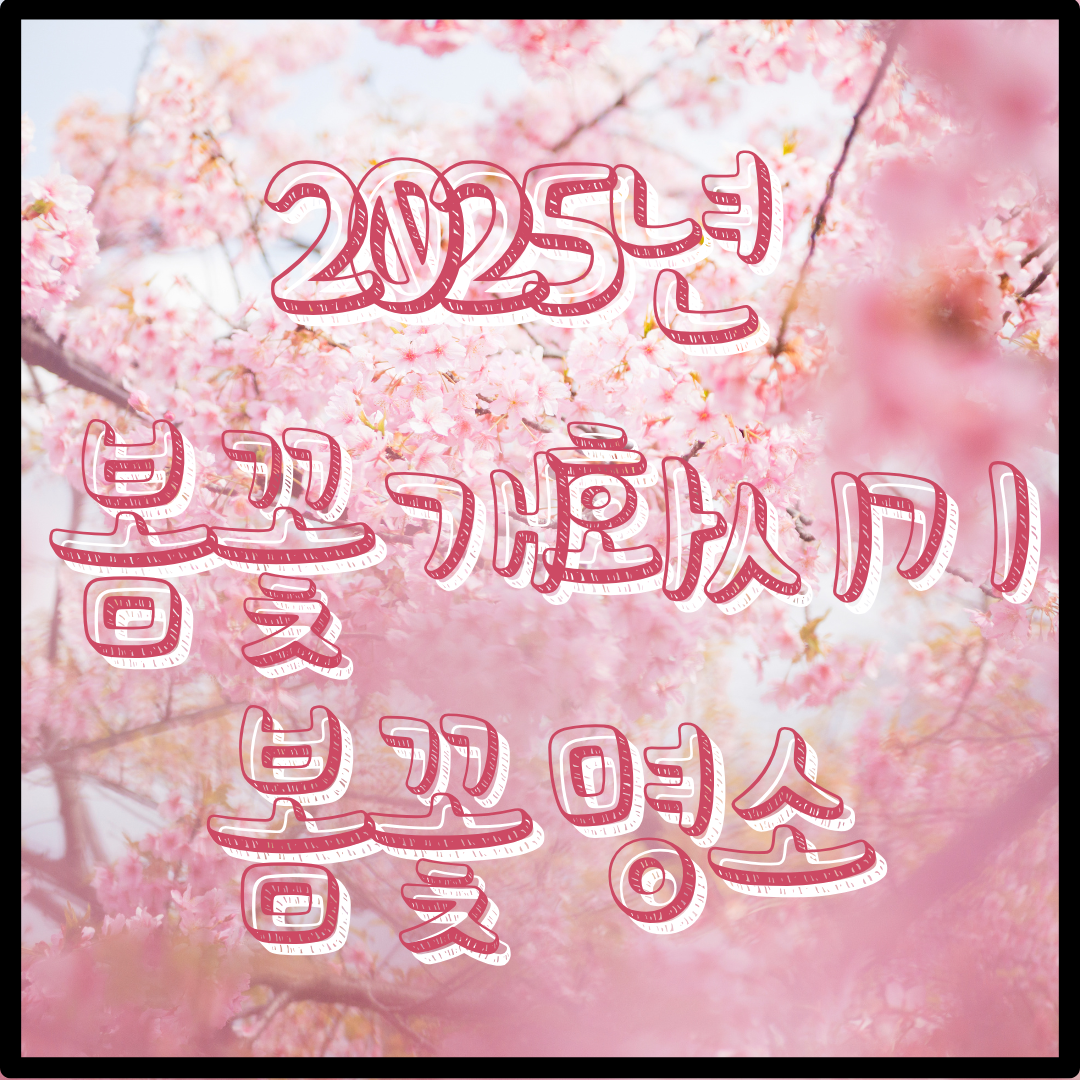 2025년 전국 봄꽃 개화시기와 전국 봄꽃 명소