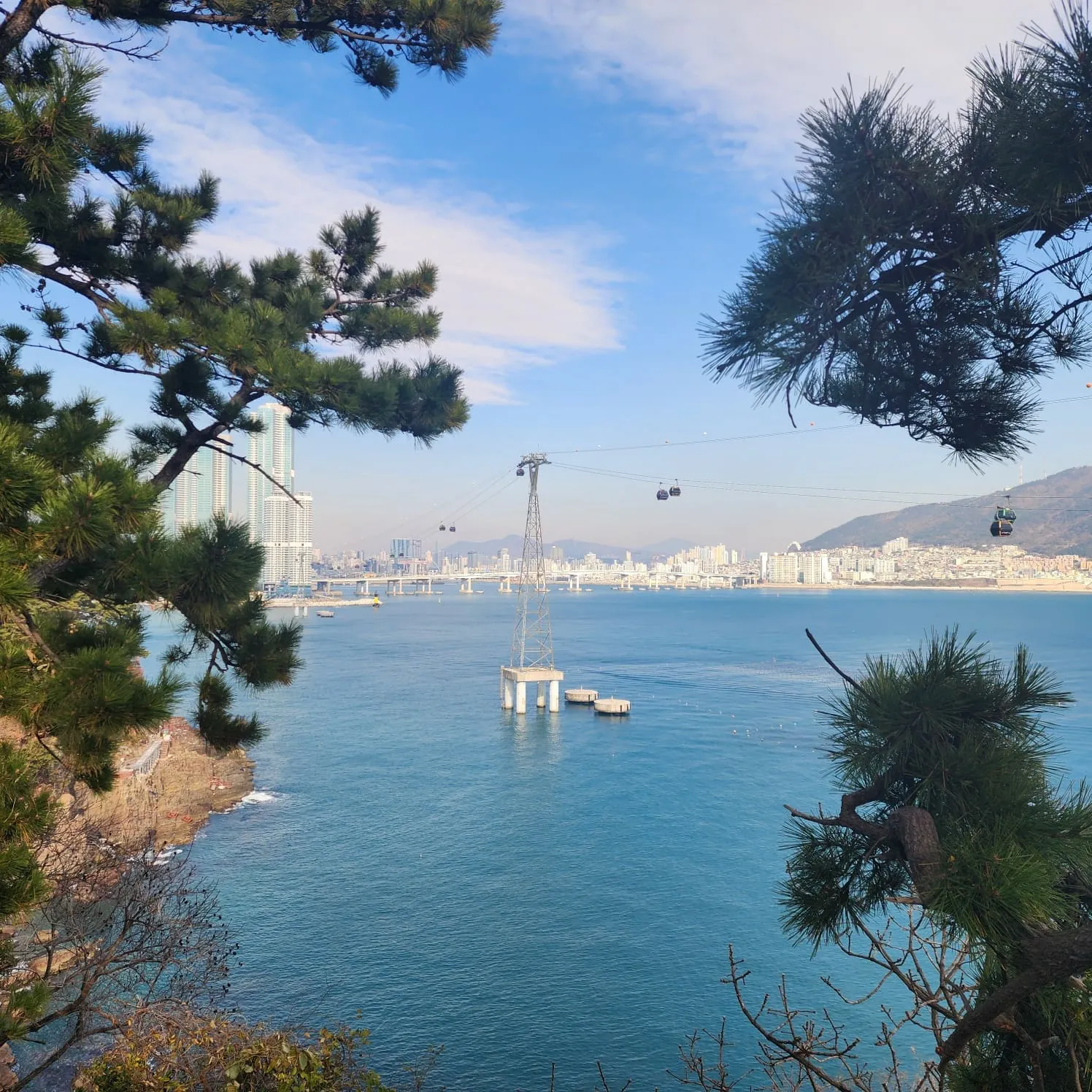 부산 송도 용궁구름다리와 숙이네