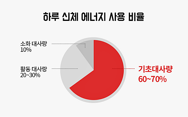 기초대사량이란?_출처:중앙헬스