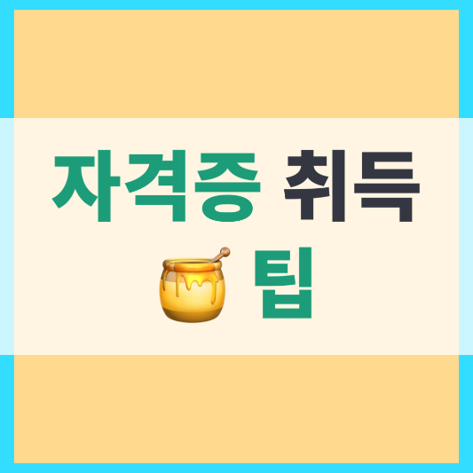 자격증 취득 꿀팁 이라고 적혀 있는 썸네일