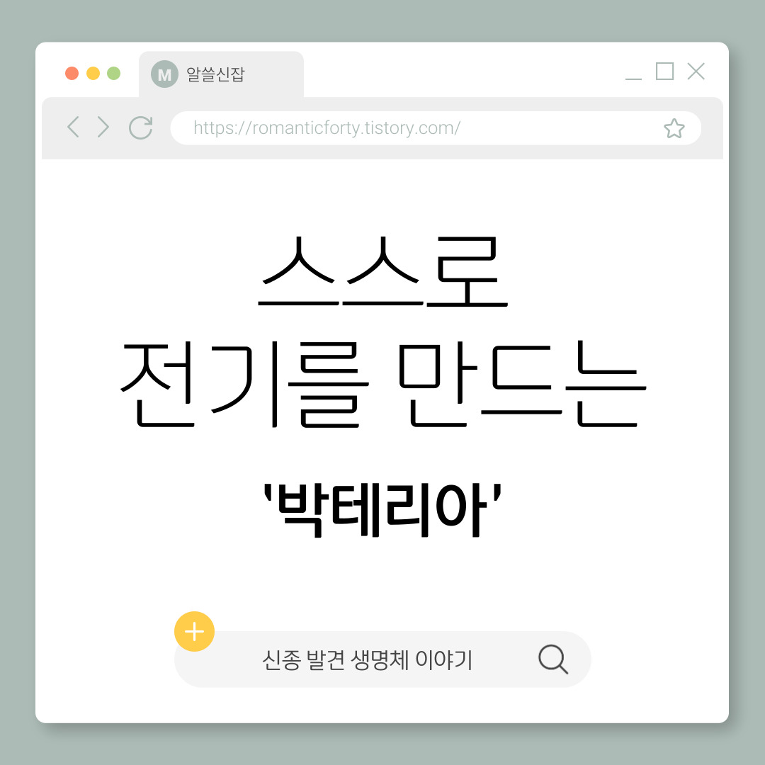 흐르는 전기를 만들어내는 생명체의 이야기