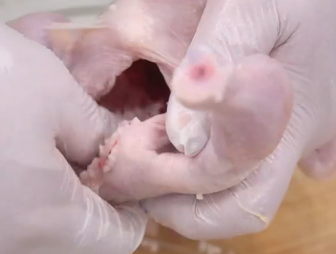 삼계탕 맛있게 끓이는 법