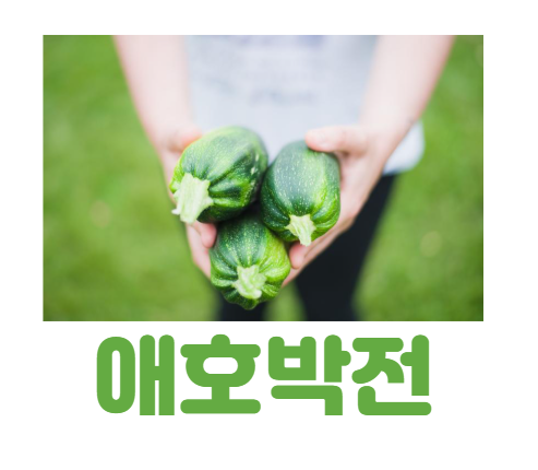 애호박전 만드는법