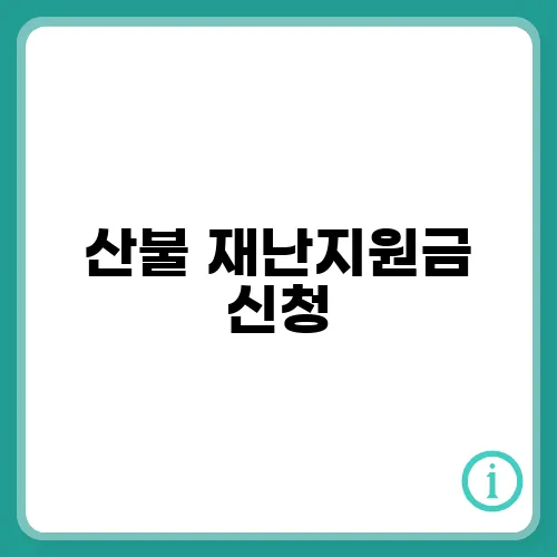 산불 재난지원금 신청, 지급시기, 금액, 신청기간 확인