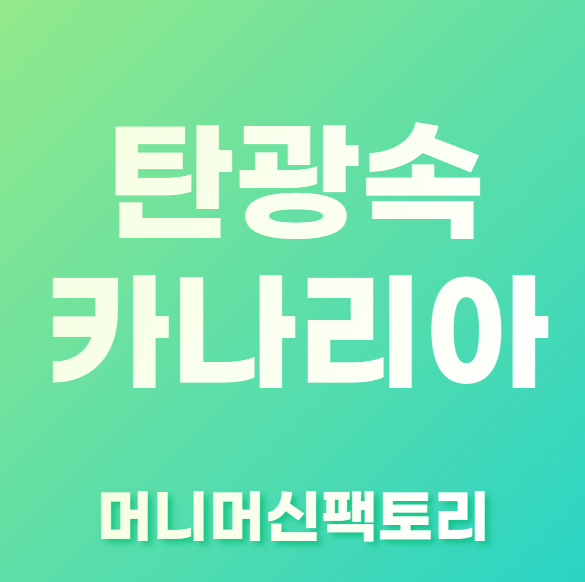 탄광속-카나리아-용어설명-섬네일